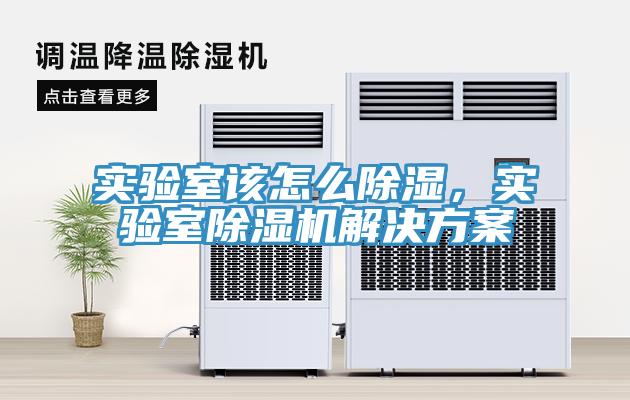 实验室该怎么除湿，实验室小黄片直播视频解决方案