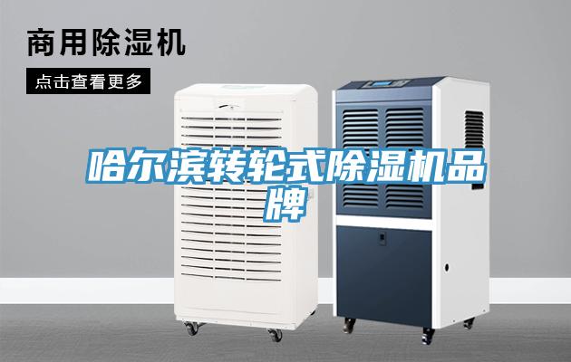 哈尔滨转轮式小黄片直播视频品牌