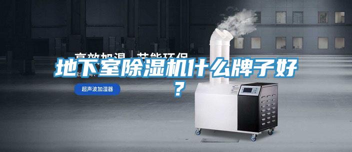 地下室小黄片直播视频什么牌子好？
