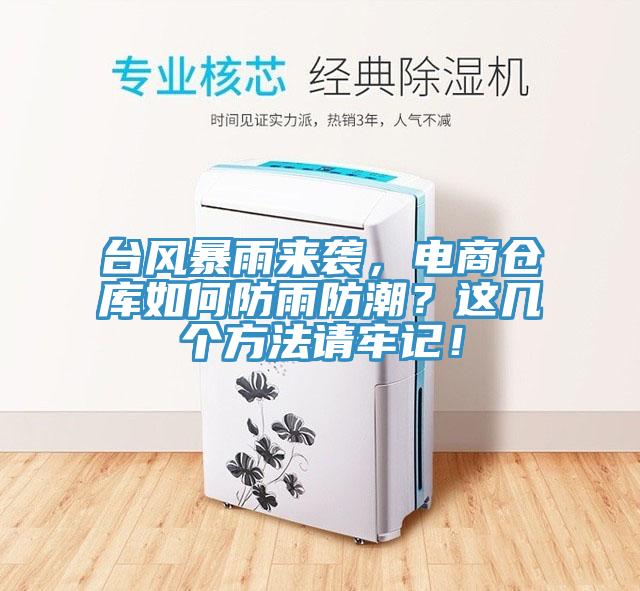 台风暴雨来袭，电商仓库如何防雨防潮？这几个方法请牢记！