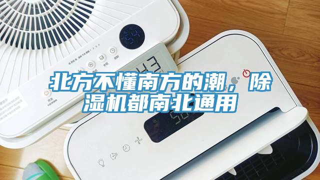 北方不懂南方的潮，小黄片直播视频都南北通用