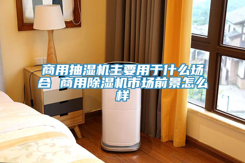 商用抽湿机主要用于什么场合 商用小黄片直播视频市场前景怎么样