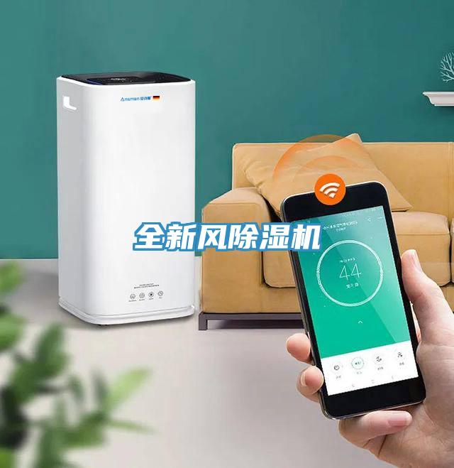 全新风小黄片直播视频