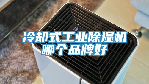 冷却式工业小黄片直播视频哪个品牌好