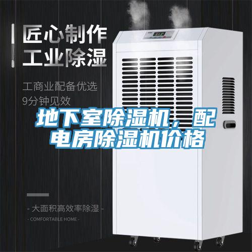 地下室小黄片直播视频，配电房小黄片直播视频价格