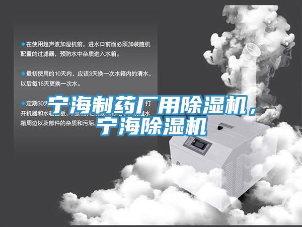 宁海制药厂用小黄片直播视频，宁海小黄片直播视频