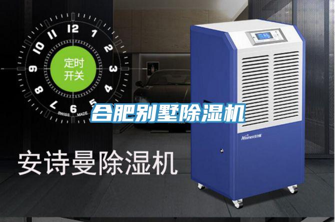 合肥别墅小黄片直播视频