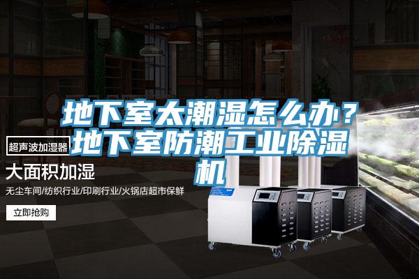 地下室太潮湿怎么办？地下室防潮工业小黄片直播视频