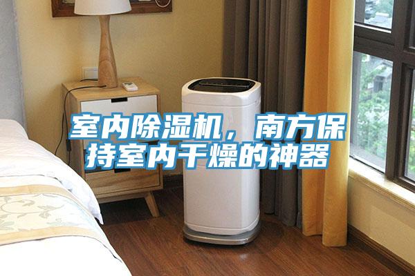 室内小黄片直播视频，南方保持室内干燥的神器
