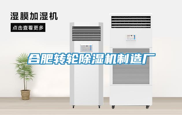 合肥转轮小黄片直播视频制造厂
