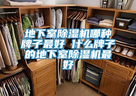 地下室小黄片直播视频哪种牌子最好 什么牌子的地下室小黄片直播视频最好