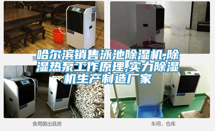 哈尔滨销售泳池小黄片直播视频,除湿热泵工作原理,实力小黄片直播视频生产制造厂家