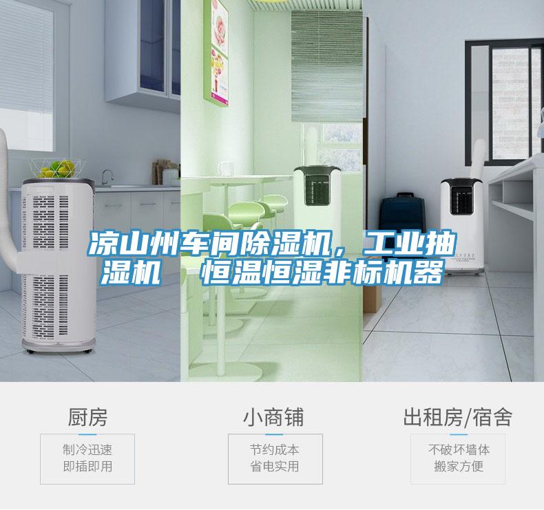 凉山州车间小黄片直播视频，工业抽湿机  恒温恒湿非标机器