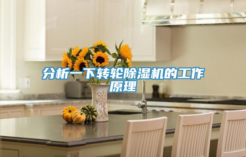 分析一下转轮小黄片直播视频的工作原理
