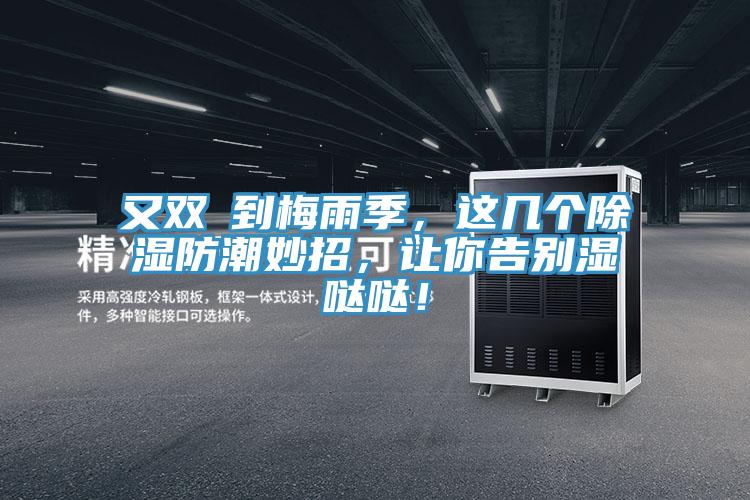 又双叒到梅雨季，这几个除湿防潮妙招，让你告别湿哒哒！