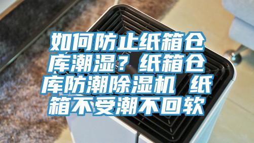 如何防止纸箱仓库潮湿？纸箱仓库防潮小黄片直播视频 纸箱不受潮不回软