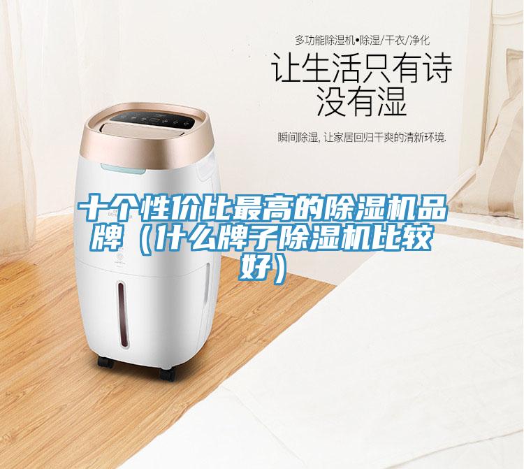 十个性价比最高的小黄片直播视频品牌（什么牌子小黄片直播视频比较好）