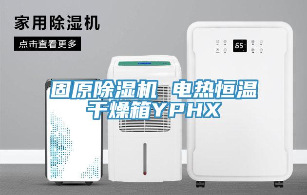 固原小黄片直播视频 电热恒温干燥箱YPHX