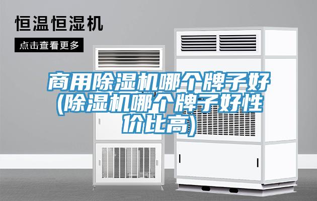商用小黄片直播视频哪个牌子好(小黄片直播视频哪个牌子好性价比高)