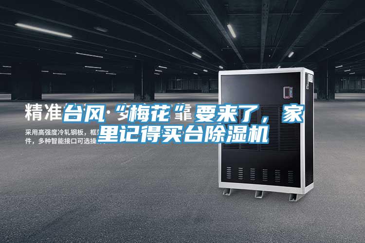 台风“梅花”要来了，家里记得买台小黄片直播视频