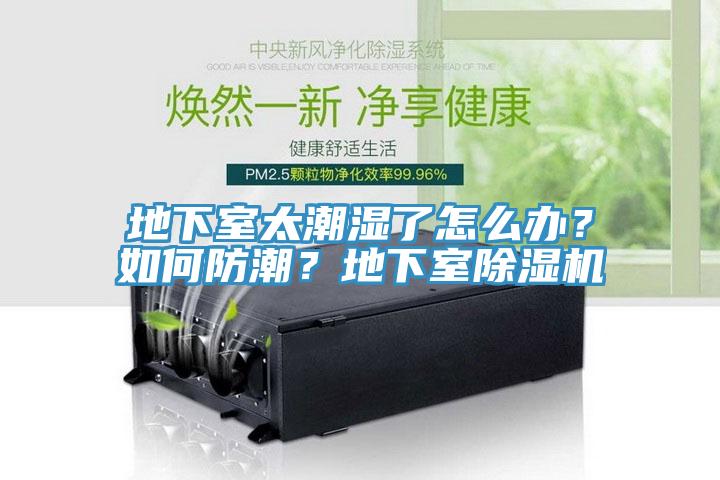 地下室太潮湿了怎么办？如何防潮？地下室小黄片直播视频