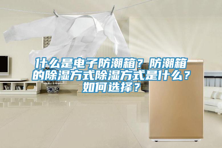 什么是电子防潮箱？防潮箱的除湿方式除湿方式是什么？如何选择？