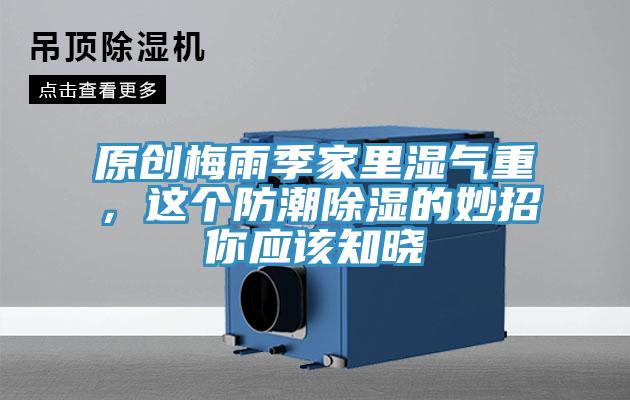 原创梅雨季家里湿气重，这个防潮除湿的妙招你应该知晓