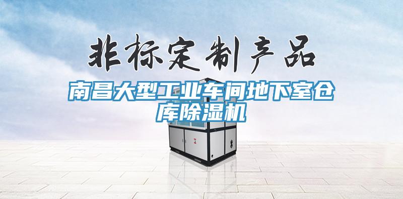 南昌大型工业车间地下室仓库小黄片直播视频