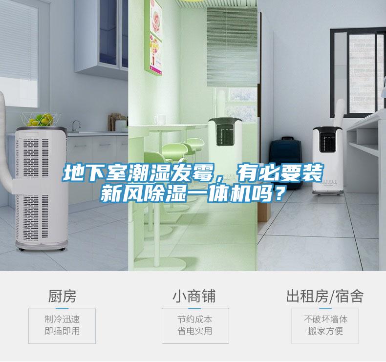地下室潮湿发霉，有必要装新风除湿一体机吗？