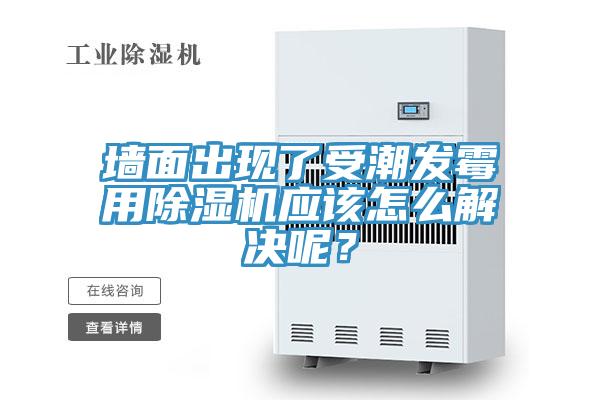 墙面出现了受潮发霉用小黄片直播视频应该怎么解决呢？