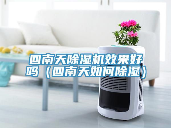 回南天小黄片直播视频效果好吗（回南天如何除湿）