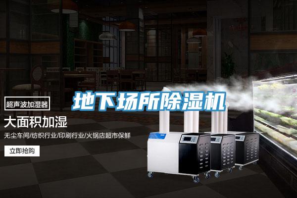 地下场所小黄片直播视频