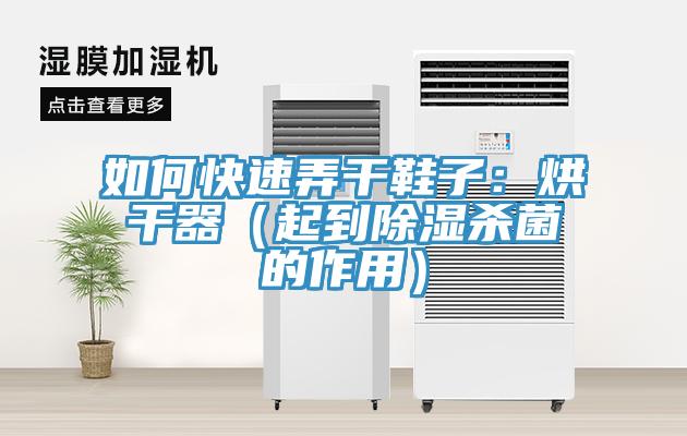 如何快速弄干鞋子：烘干器（起到除湿杀菌的作用）