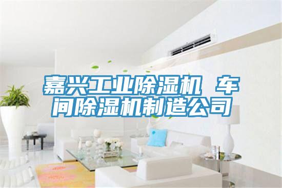 嘉兴工业小黄片直播视频 车间小黄片直播视频制造公司