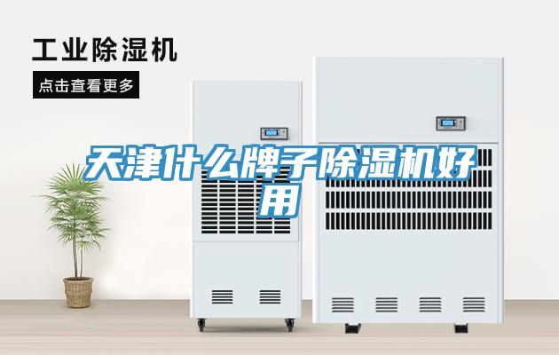 天津什么牌子小黄片直播视频好用