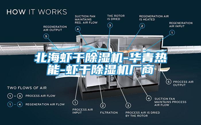北海虾干小黄片直播视频-华青热能-虾干小黄片直播视频厂商