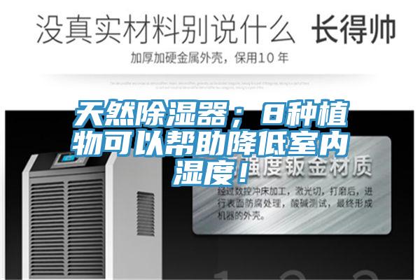 天然除湿器；8种植物可以帮助降低室内湿度！