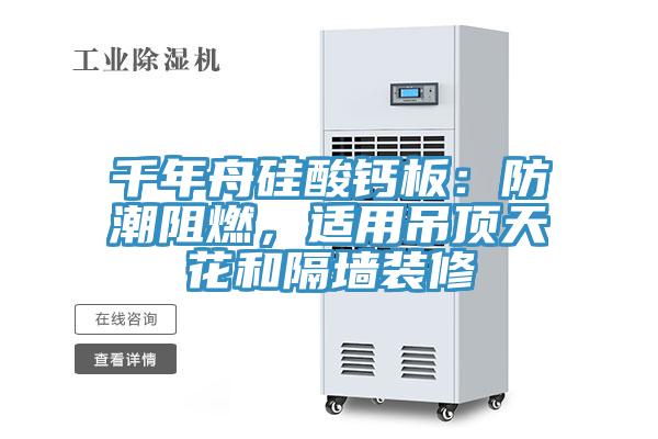 千年舟硅酸钙板：防潮阻燃，适用吊顶天花和隔墙装修