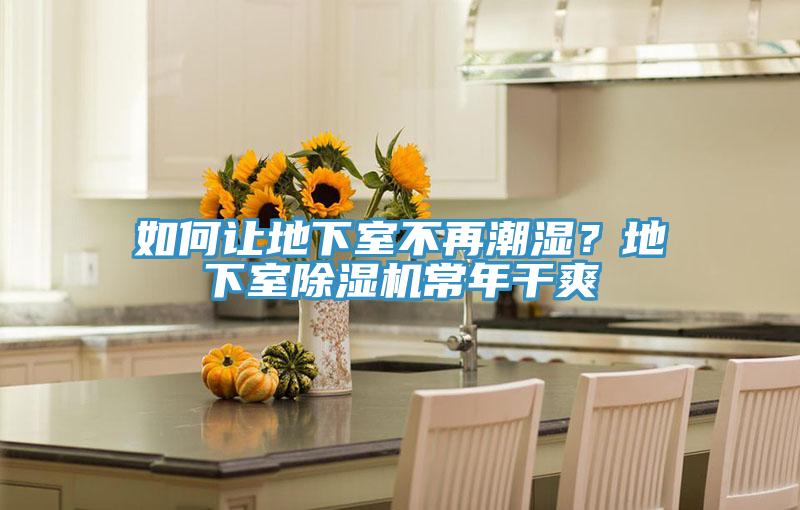 如何让地下室不再潮湿？地下室小黄片直播视频常年干爽