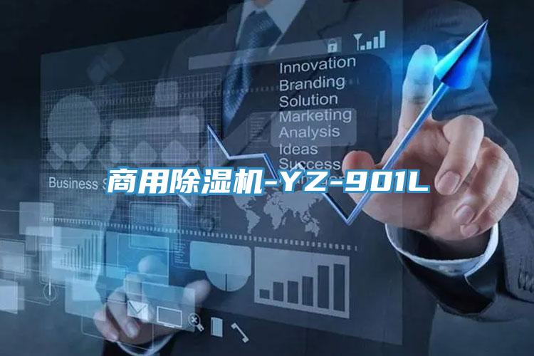 商用小黄片直播视频-YZ-901L