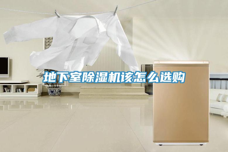 地下室小黄片直播视频该怎么选购