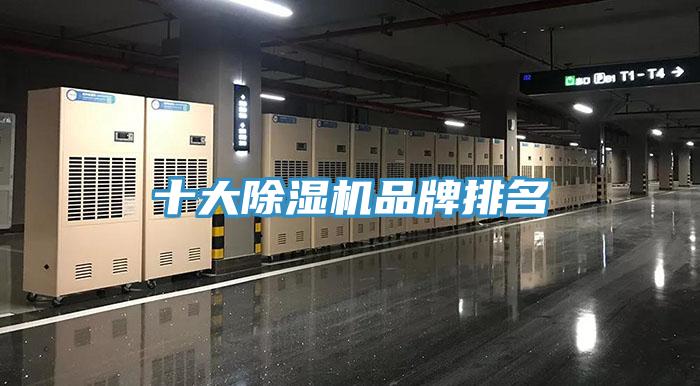 十大小黄片直播视频品牌排名