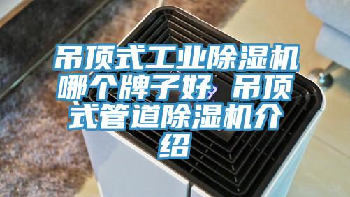 吊顶式工业小黄片直播视频哪个牌子好 吊顶式管道小黄片直播视频介绍