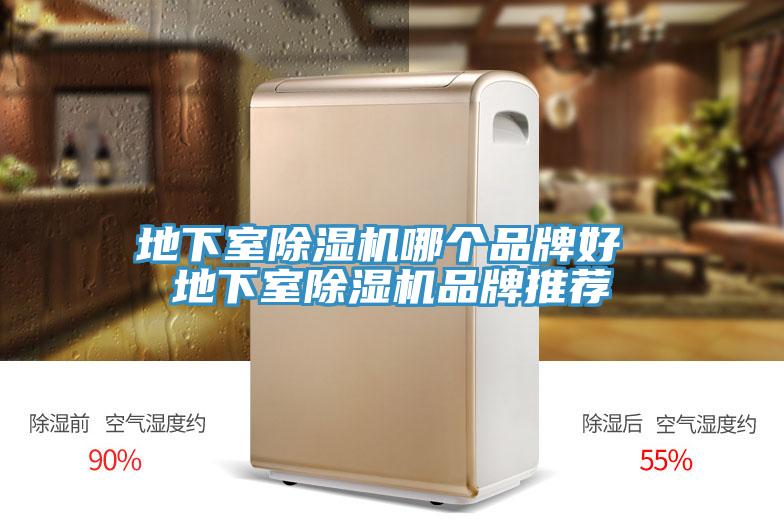 地下室小黄片直播视频哪个品牌好 地下室小黄片直播视频品牌推荐