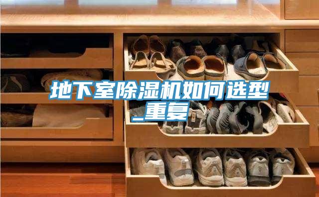地下室小黄片直播视频如何选型_重复