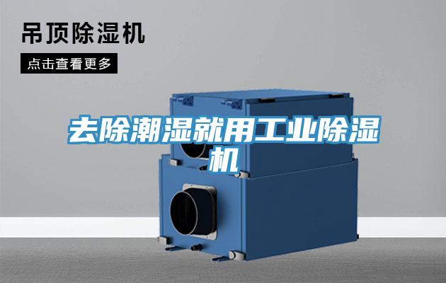 去除潮湿就用工业小黄片直播视频