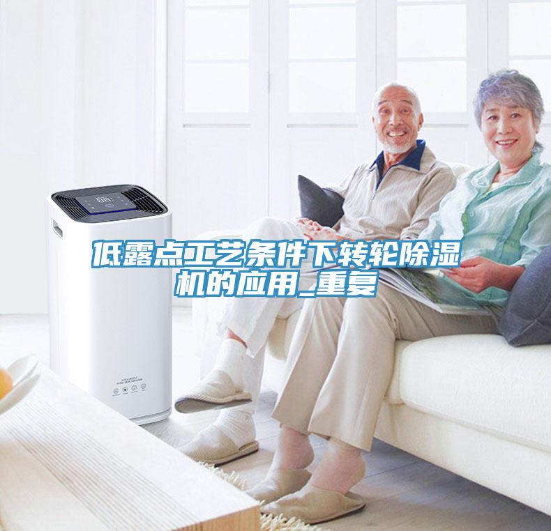 低露点工艺条件下转轮小黄片直播视频的应用_重复