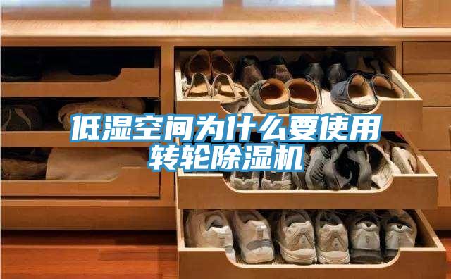 低湿空间为什么要使用转轮小黄片直播视频