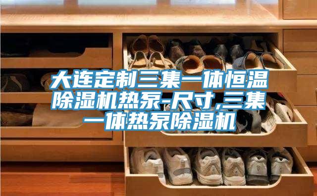 大连定制三集一体恒温小黄片直播视频热泵-尺寸,三集一体热泵小黄片直播视频