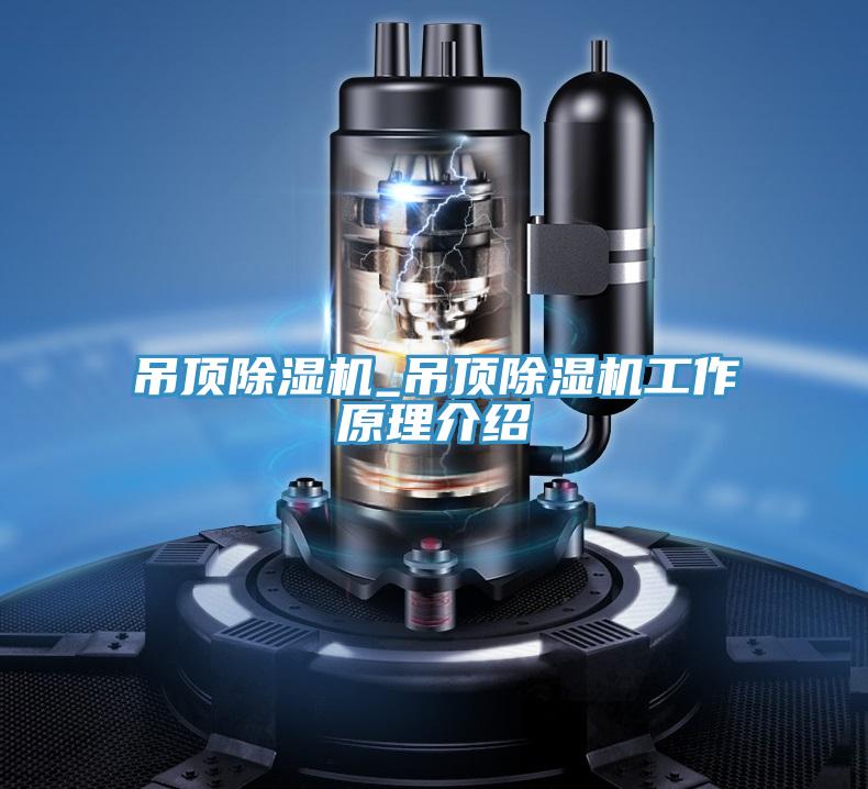 吊顶小黄片直播视频_吊顶小黄片直播视频工作原理介绍